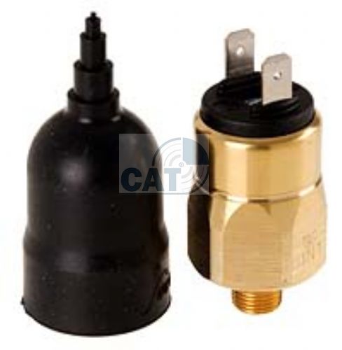 Bosch Pressure Switch w/ Spade Terminals 1/8