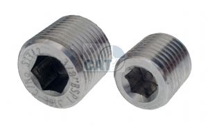 Stainless Steel Internal Hex Male BSP and NPT Plug