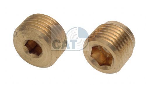 Brass Internal Hex Male Metric Blanking Plug