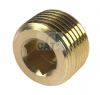 Brass Internal Hex Male BSP and NPT Blanking Plug