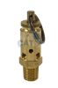 Relief valves 1/4 BSPT